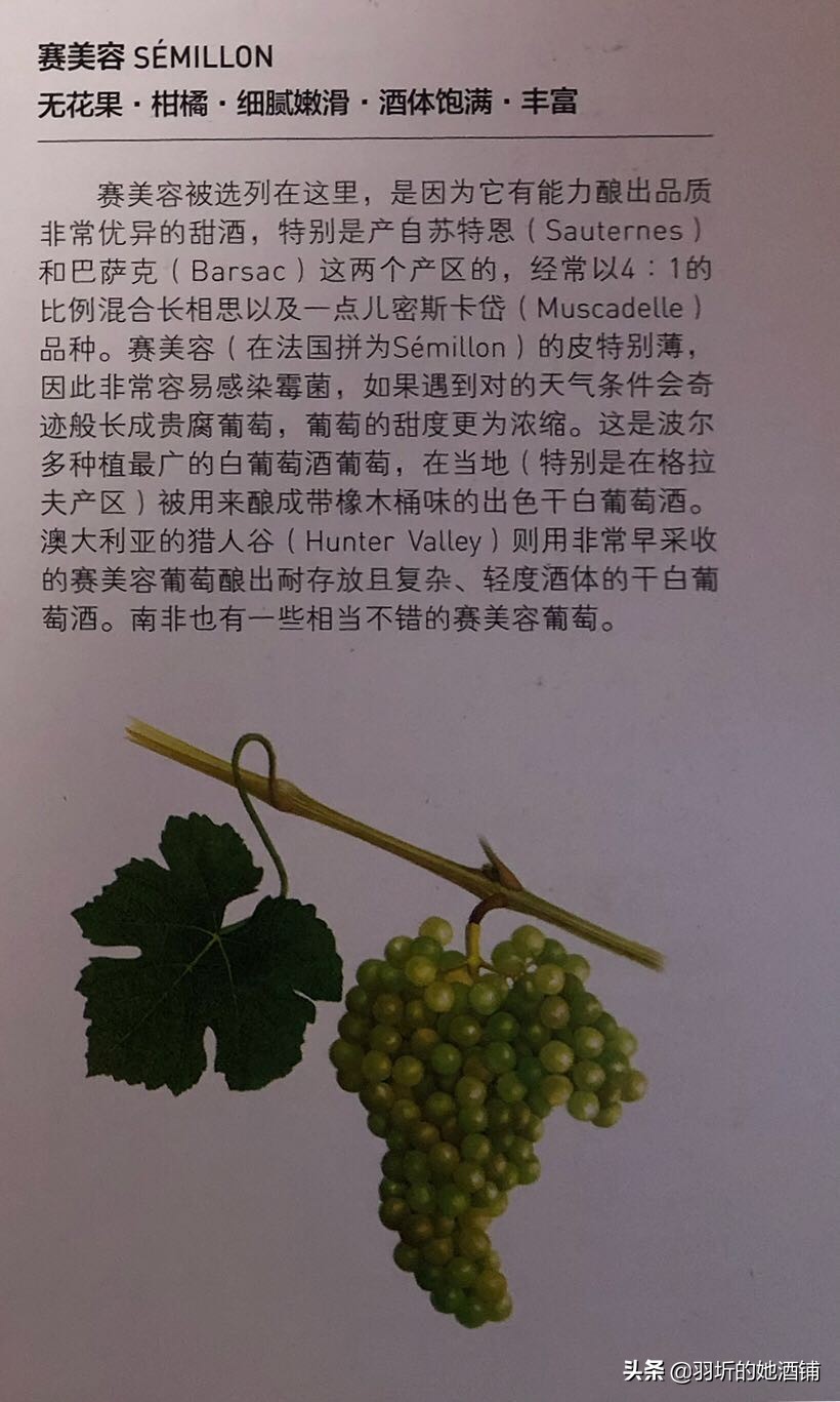 年会彩妆教程,迪奥彩妆年会