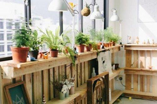 甲醛去除的正确方法妙招,甲醛快速去除的正确方法