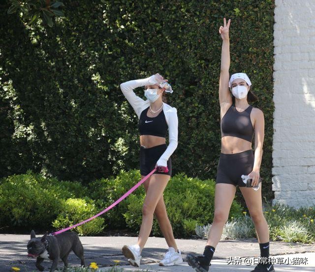 哈姆林秀肌肉,哈姆林姐妹