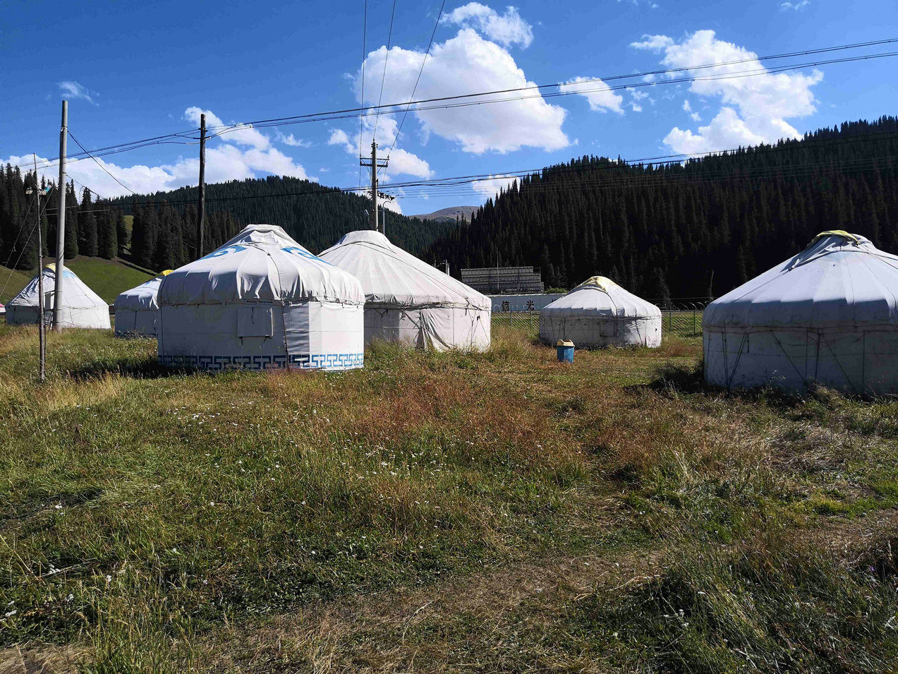 *疆新**蒙古包旅店老板,看他一天的收入多少,一个月就抵我一年工资