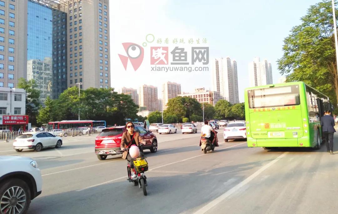 渭河南岸最新消息,渭河南岸沿线最新消息