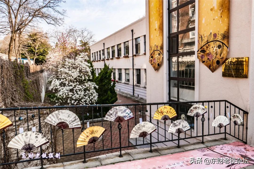 网红美景,网红一棵树樱花园