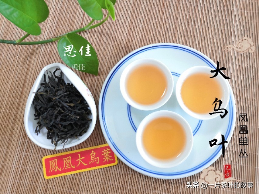 凤凰单枞可以冷泡吗,凤凰单枞泡几回