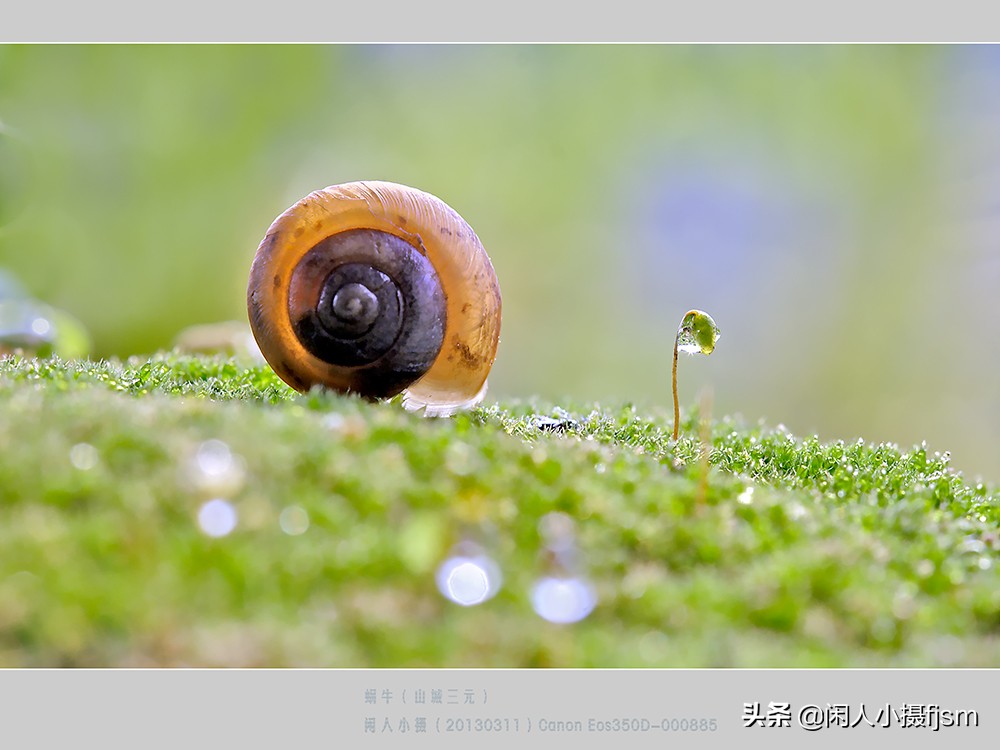 微距和一般摄影有什么区别,摄影写实和写意的区别