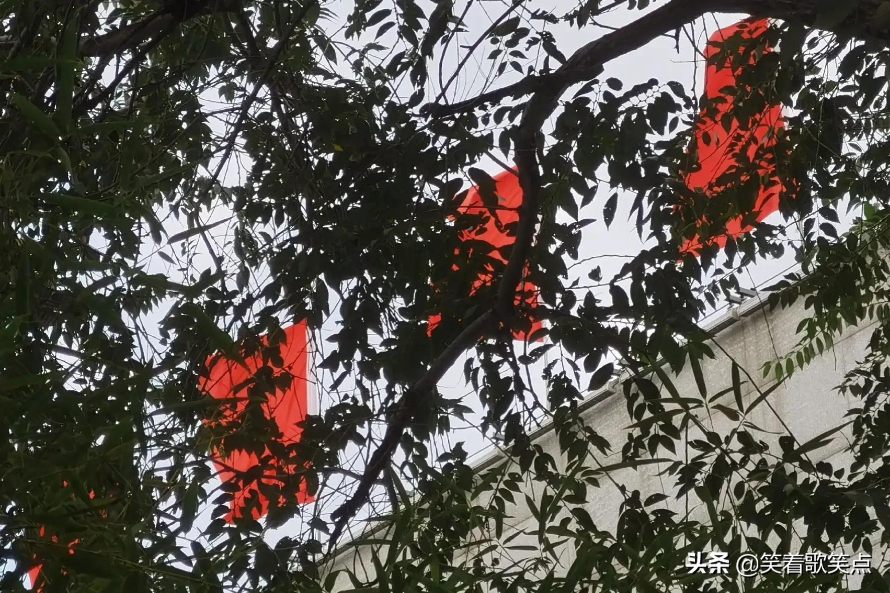 小小说丨出了事以后