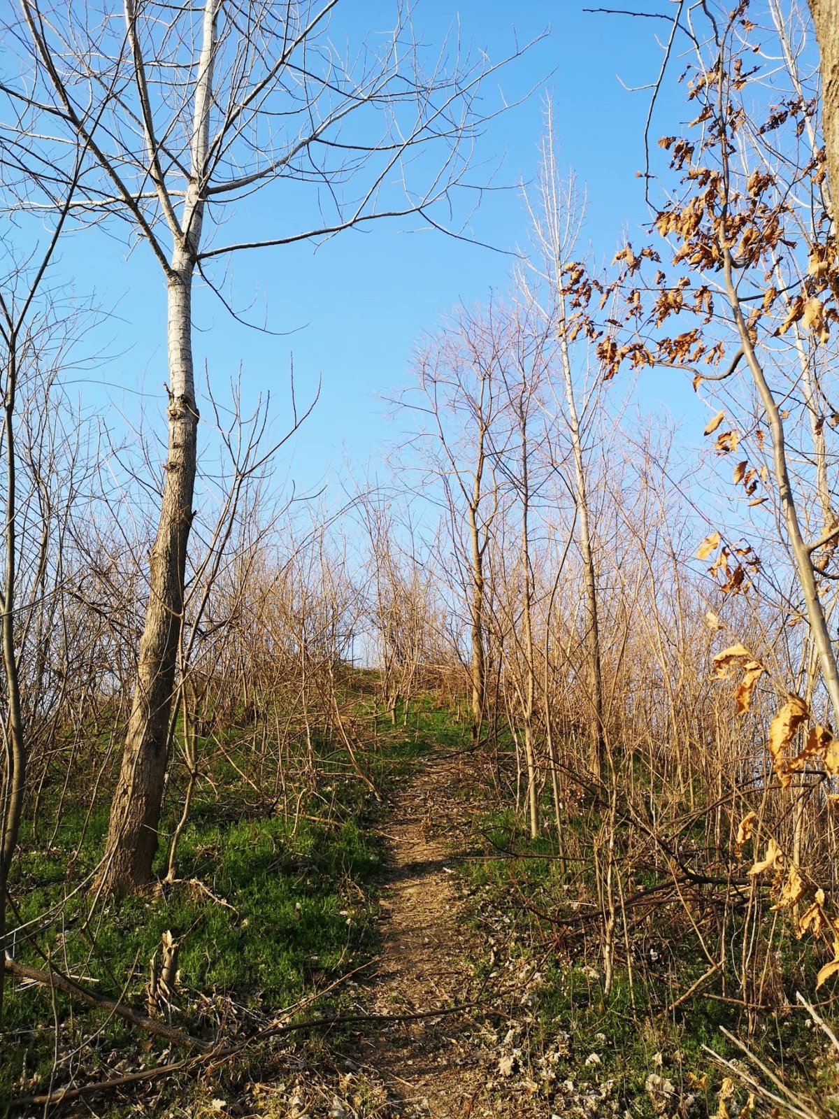 摩托周边旮旯游——探访明光法华禅庵塔