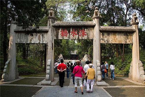 山东孔林为何能乌鸦远避，蛇类不侵？老祖宗的智慧让人叹服