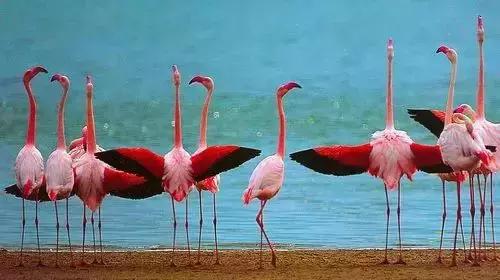 自驾入境埃塞俄比亚,国外自驾游要什么东西