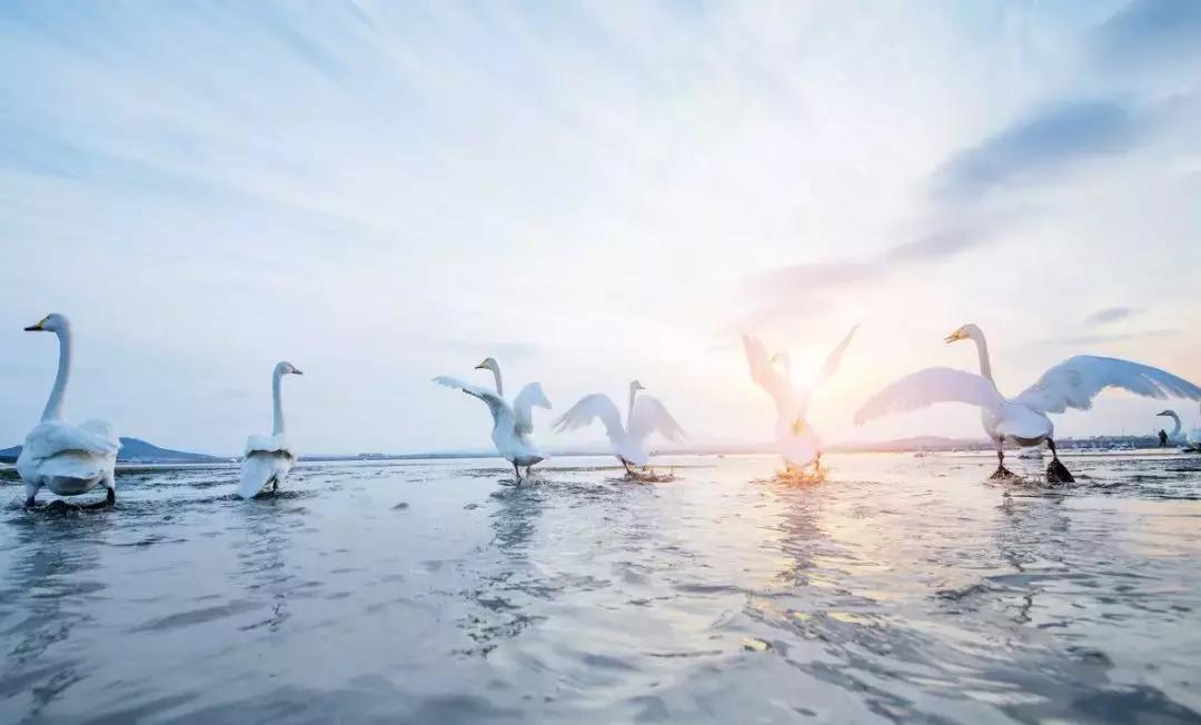 北方冬季适合吃的海鲜,北方冬天适合去的海滨小城