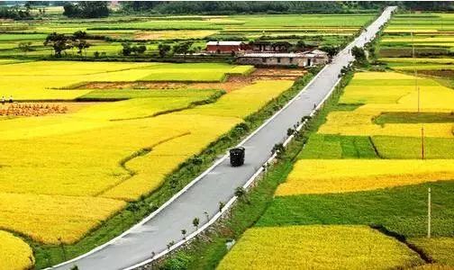 什么是“软乡村”、“酷农业”？