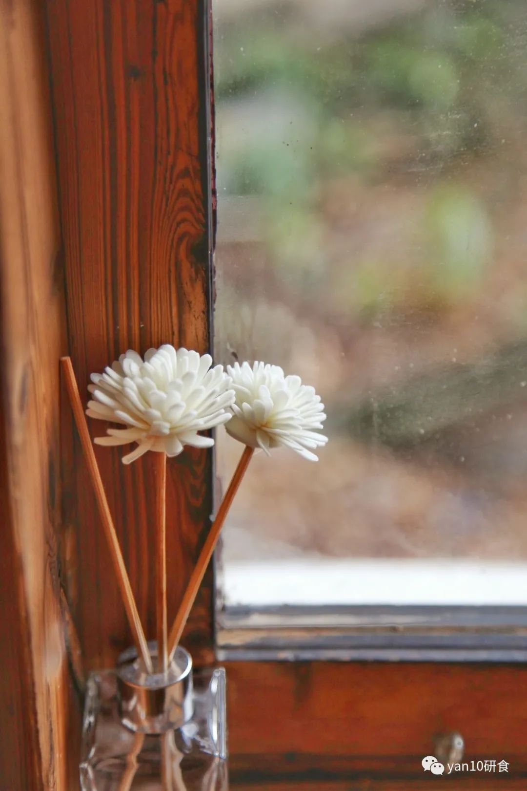 中山多娇,石岐美妙,传统早茶,粥粉面饭,糖水小食,要不要?