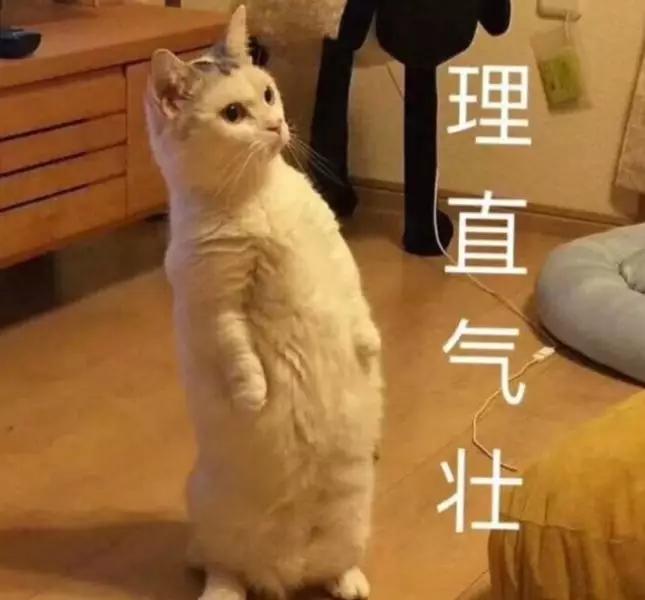 孩子上学家用连接手机打印机推荐,6款热卖家用打印机深度评测