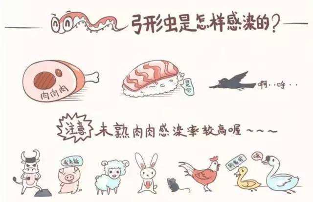 还说:怀孕不能养狗?专家建议:最好怀孕之前就养