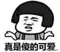 ob青训队最新消息,OB青训队