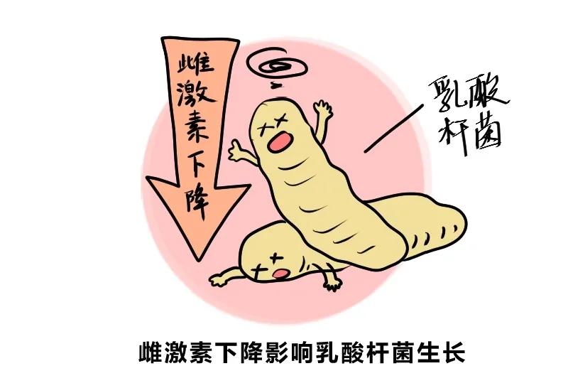 细菌性阴道炎的症状有哪些,细菌性阴道炎症状用什么药