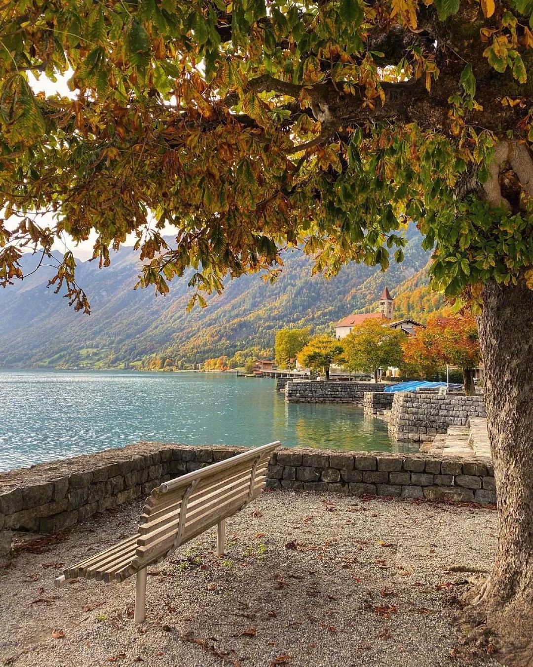 手机壁纸瑞士风光,瑞士风光全面屏壁纸