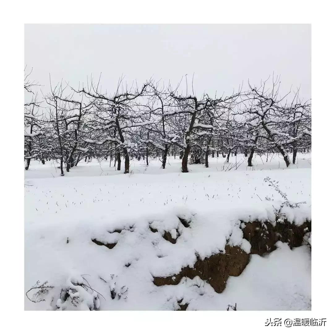 雪后的临沭小城，美得令人窒息