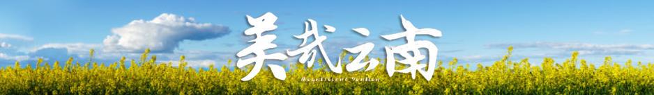 缇庡搲浜戝崡瑙嗛,缇庡搲浜戝崡鍓х収