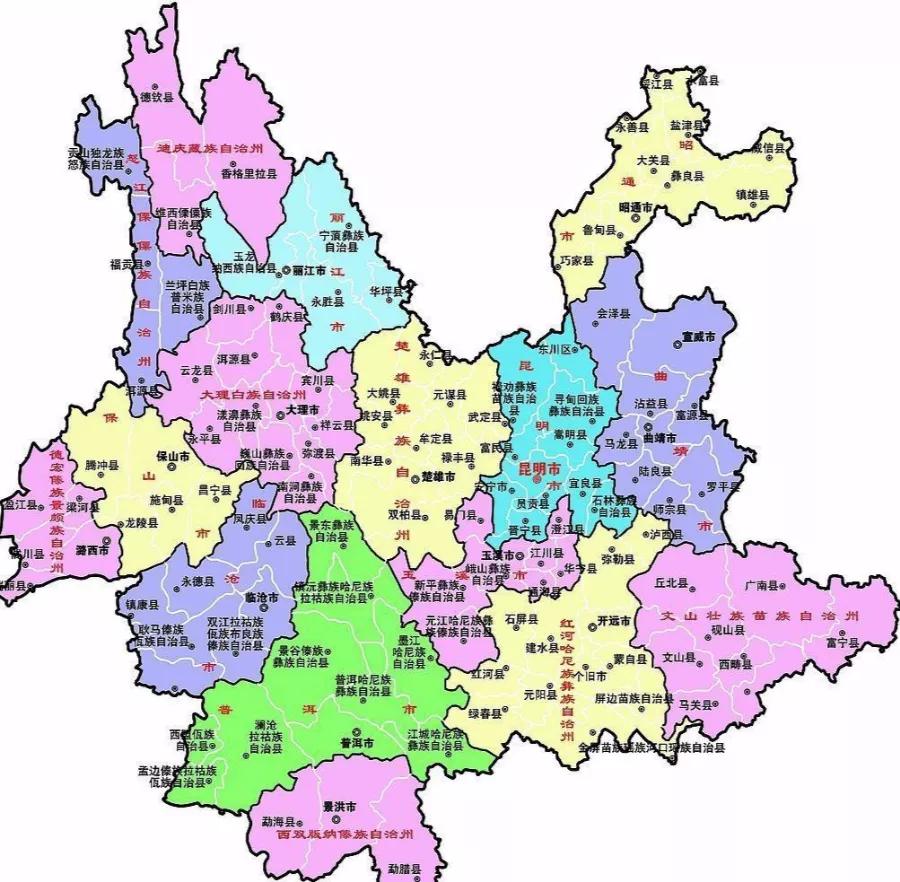 普洱茶小科普,普洱茶英文科普