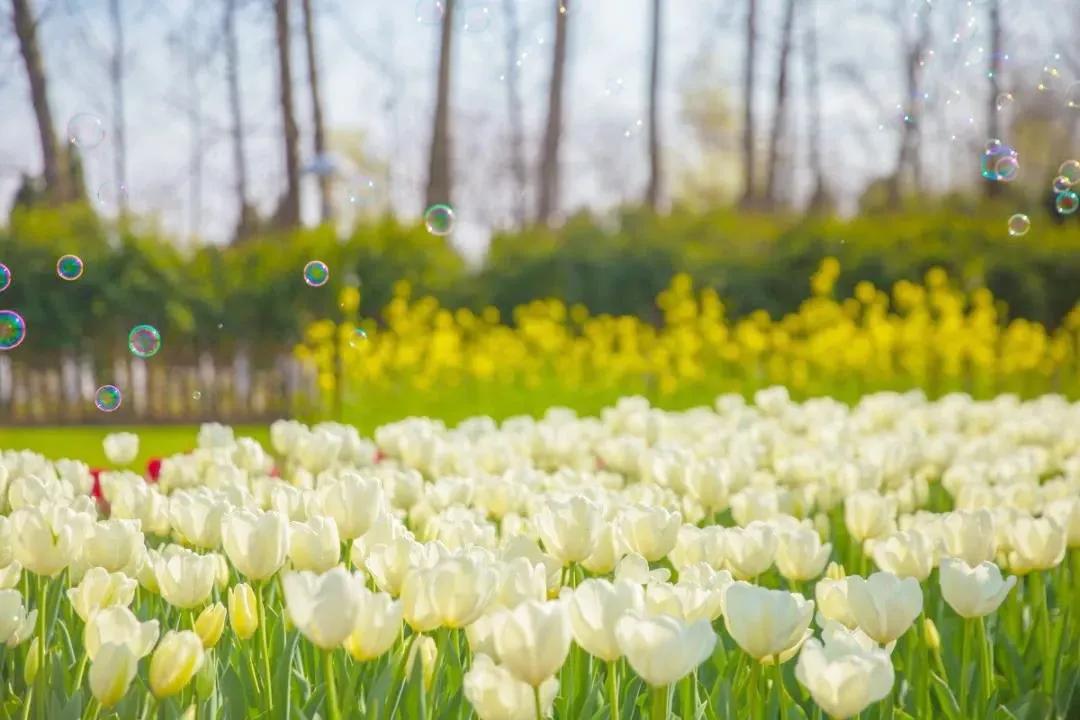 不出国就能环游世界的地方,不用出国门也能环游世界
