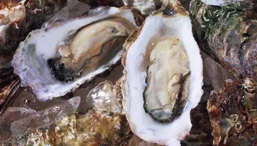 疫情期间专家教你如何提高免疫力,如何提高免疫力抵抗力抗病毒