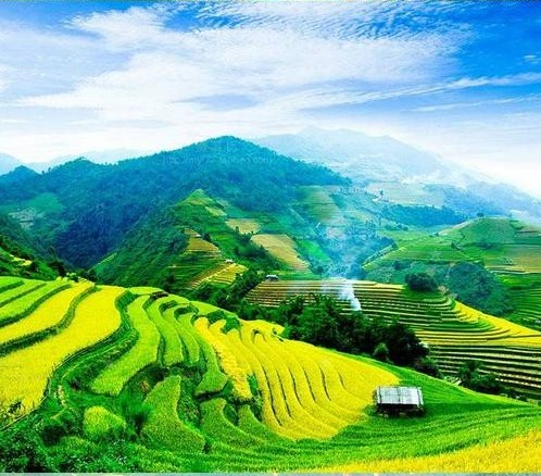 「读史随笔」系列之《“罐罐茶”的悠然自得》