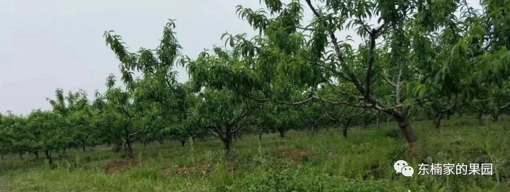 合肥休闲农庄排行榜前十名,合肥农庄转让或出租