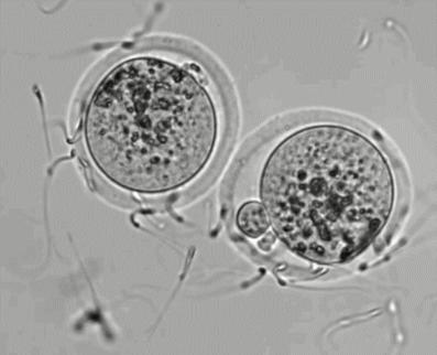 揭穿科学的面纱,走近科学令人无法接受的科学真相