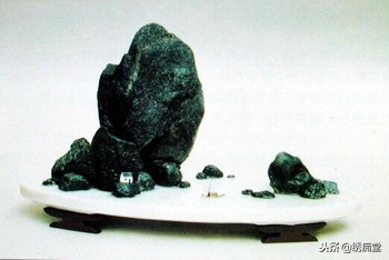 丛林式盆景欣赏,盆景欣赏及制作