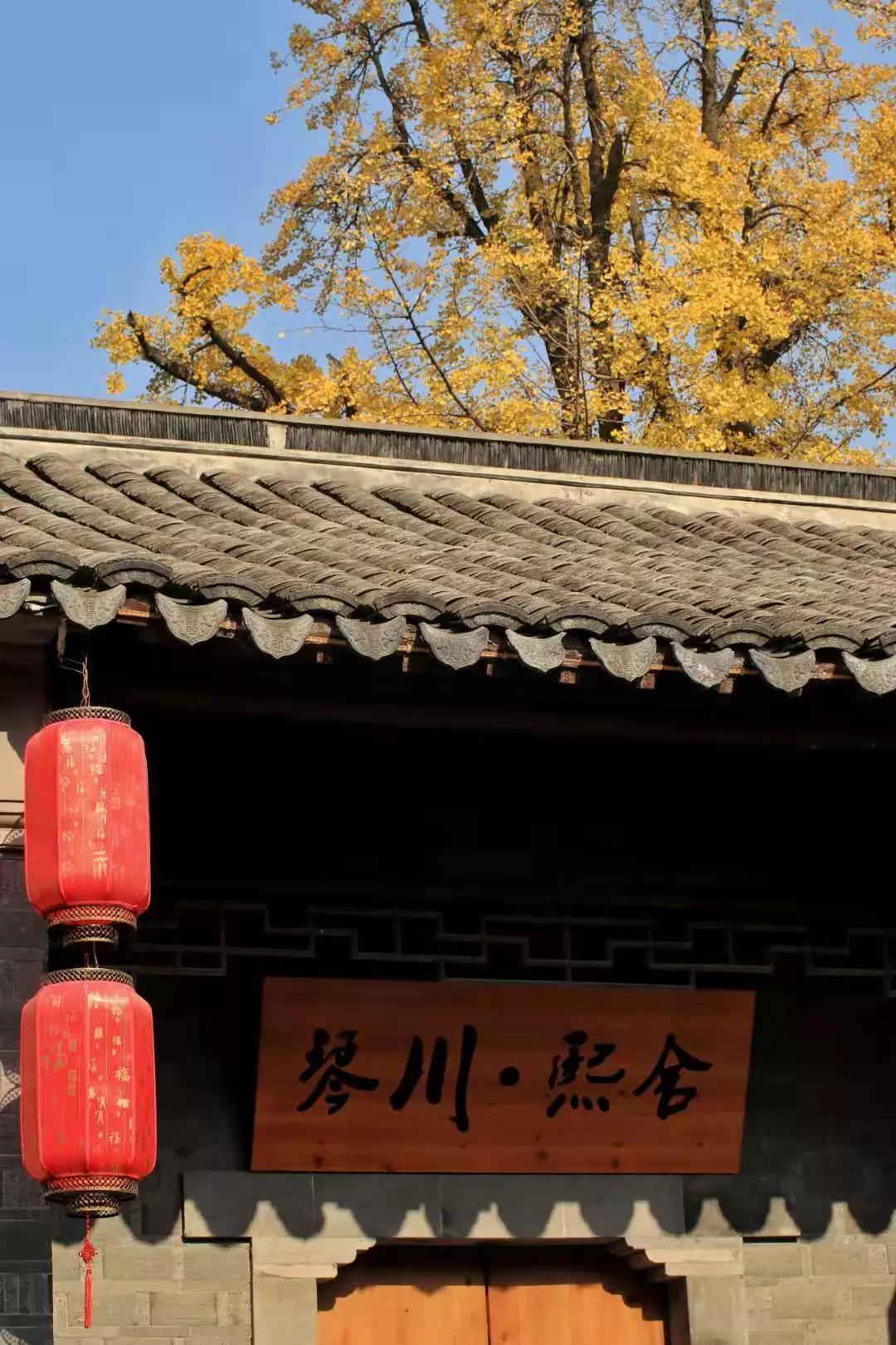 眺云海秘境、西子春晓，每一家都是旅行艺术，带你躺入春天~