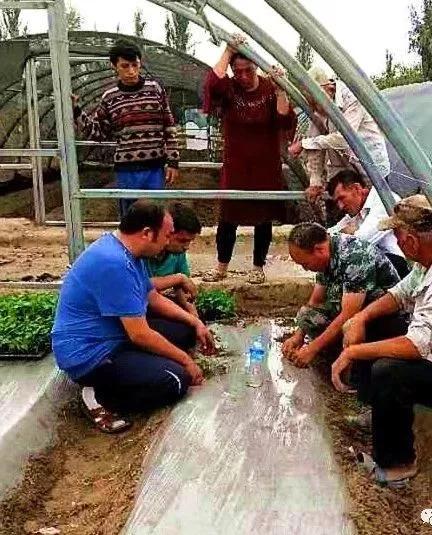 鎻寸枂鏀暀蹇冭,鎻寸枂蹇冭