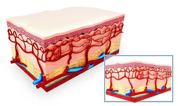 胶原蛋白肽美容靠谱吗,360美容胶原蛋白