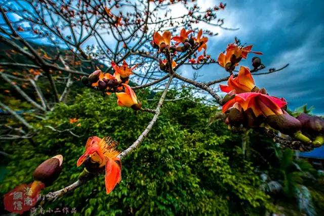 昌江原生态热带雨林森林秘境,海南万宁一个被大自然宠爱的地方