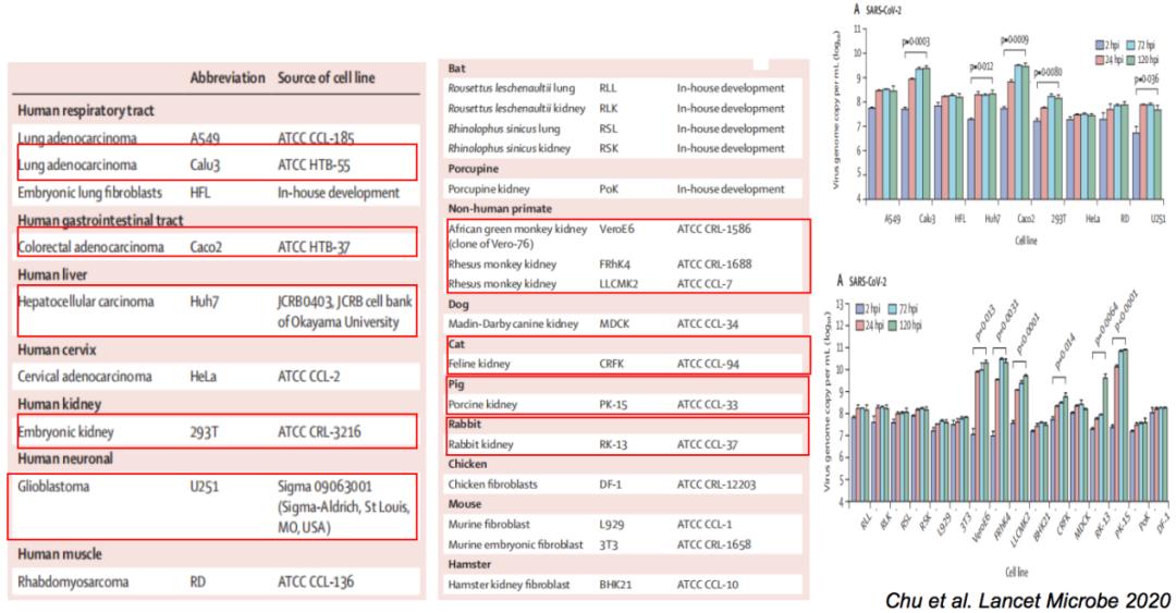 中医科学院任丽丽,任丽丽