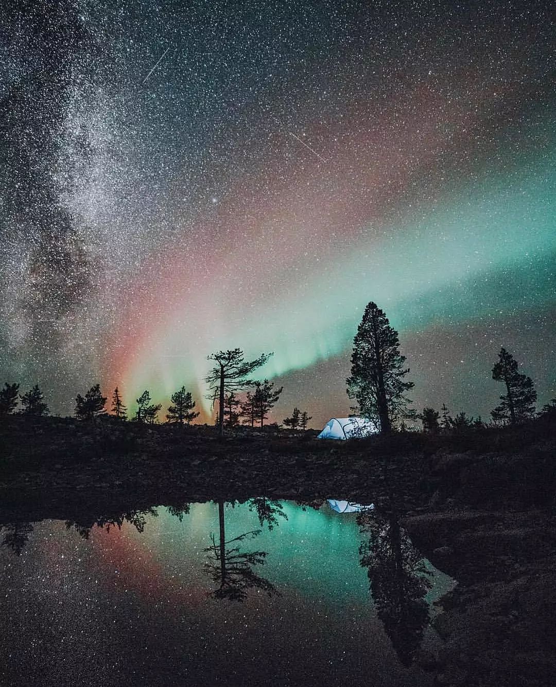 元旦机票怎么买便宜,元旦旅游便宜机票推荐