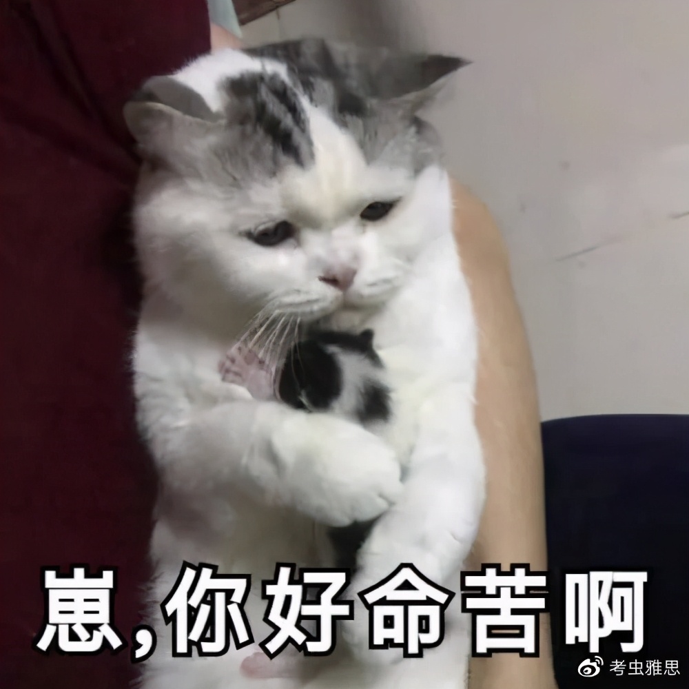 留学被诈骗经历和温馨提醒,留学最新诈骗套路