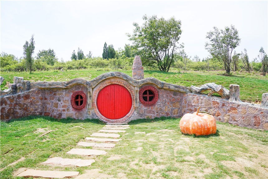 初夏河南,找寻童心,邂逅伏羲山的斜阳,一颗心萌化在云上牧场