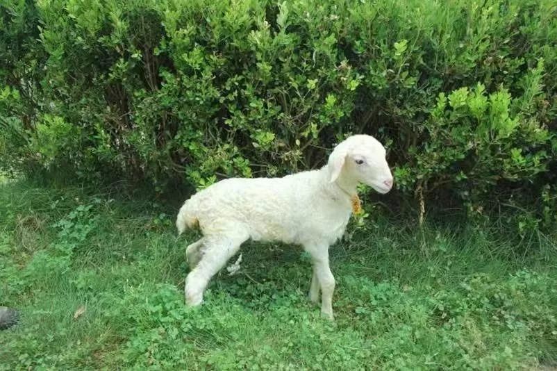 1.3万种好东西等你来!浙江本周五逛吃大幕打开,快来扫货