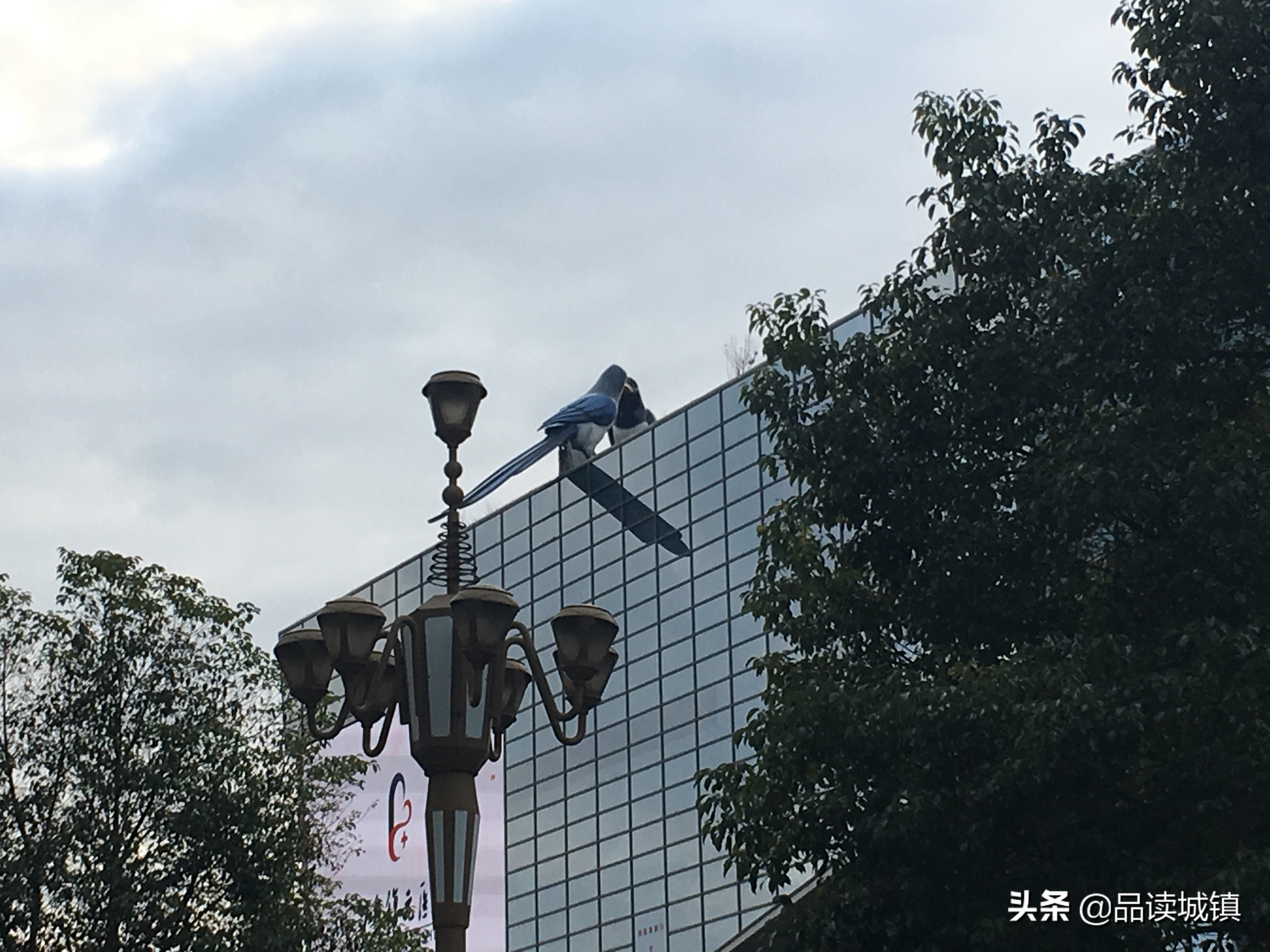 义乌市城市发展前景,中国城建第一县义乌