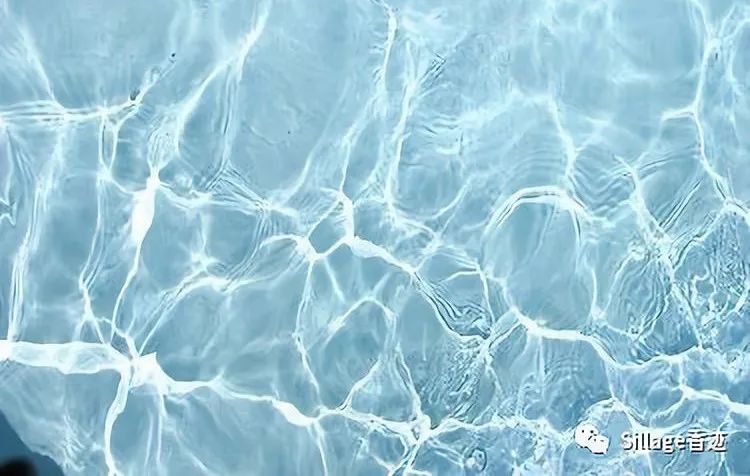 清新柑橘调香水,柑橘调香水推荐