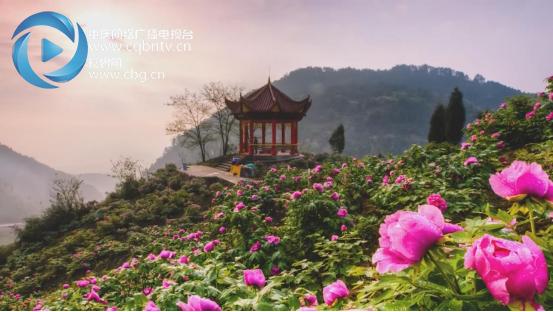 100秒看重庆夜景,100秒看丰都