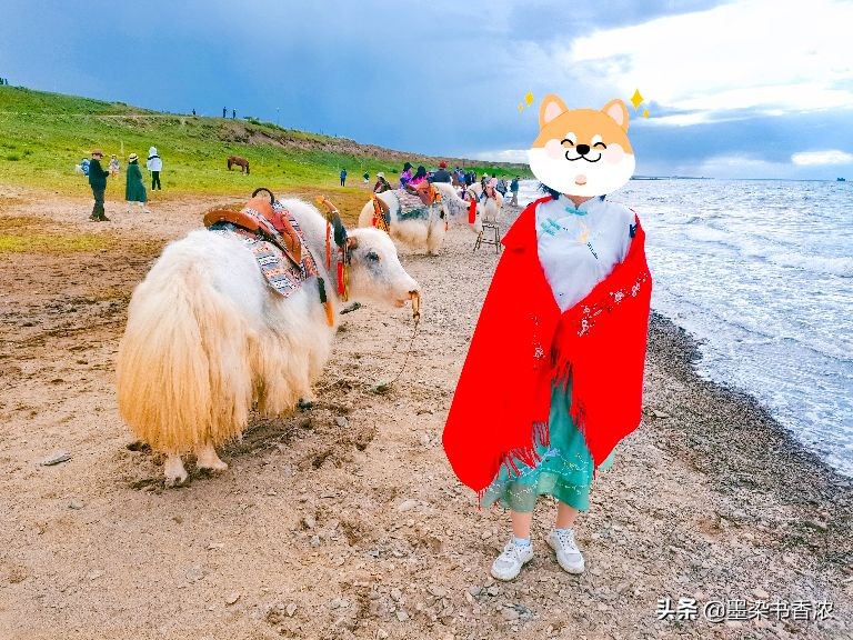 青海湖茶卡盐湖一日游跟团,青海湖茶卡盐湖敦煌