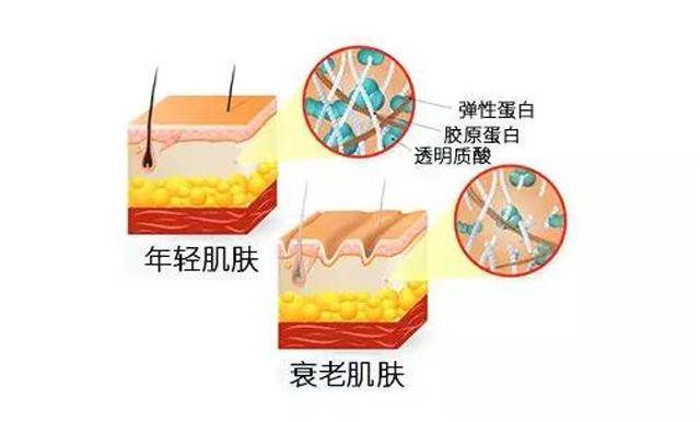 额头皱纹除皱教程,细节美容手法