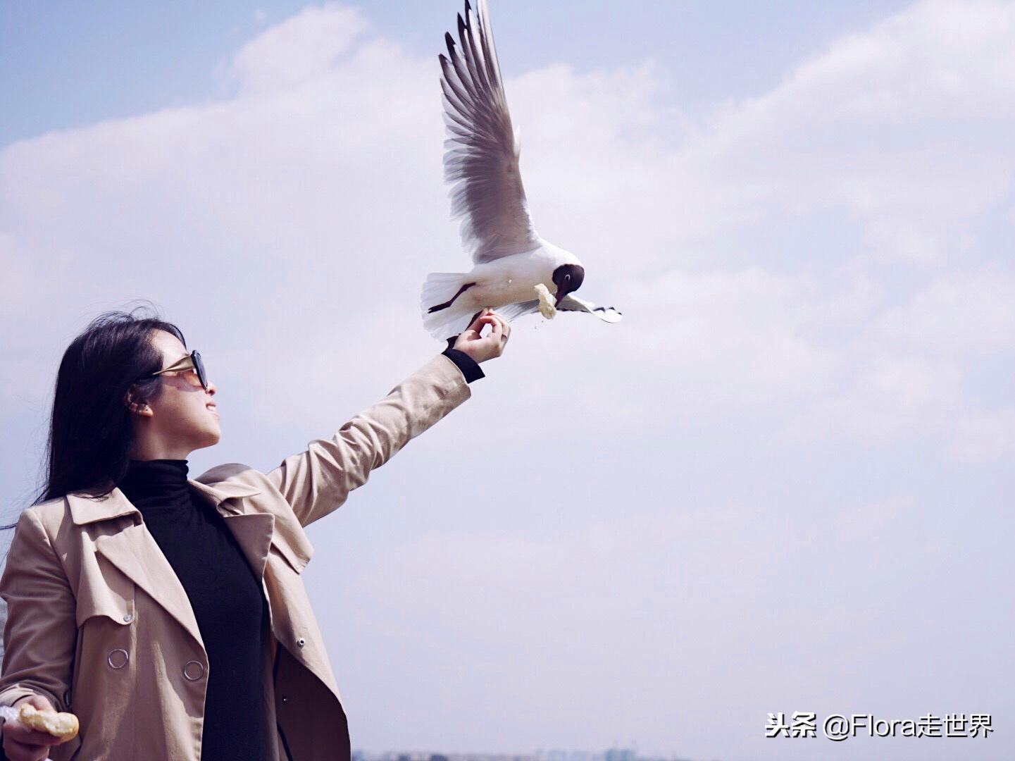 我们的侣行还在拍吗,我们的侣行2019破冰之旅