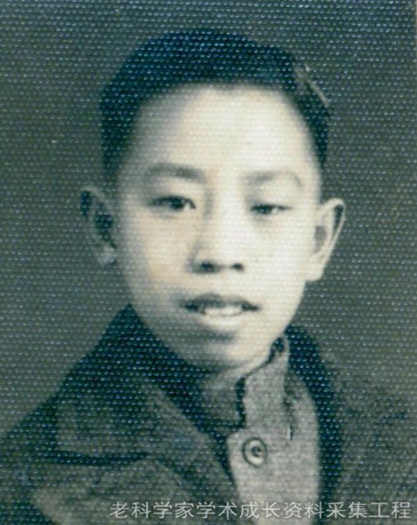 从中医小白到临床高手,从西医转而学习中医体会