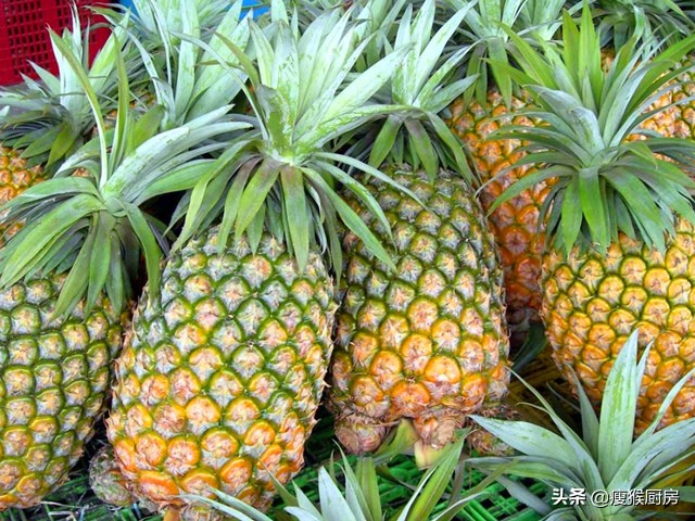 菠萝和凤梨是同一种水果吗,菠萝与凤梨是同一种水果吗