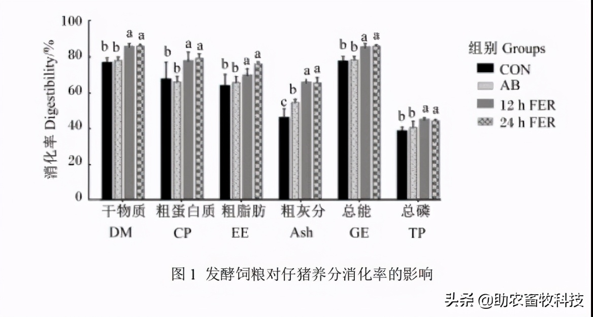 发酵饲料能提高多少吸收率,发酵饲料对猪有没有好处