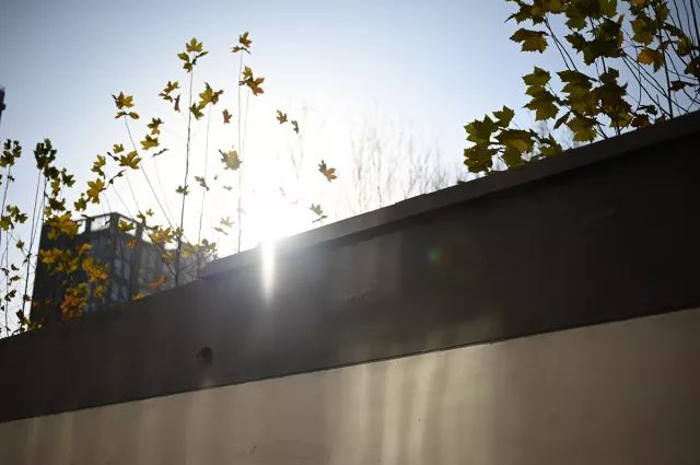 尼康z50最大光圈,尼康z501.8深度评测