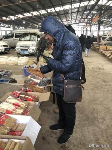 抚松县万良人参交易市场视频,长白山万良人参市场直播
