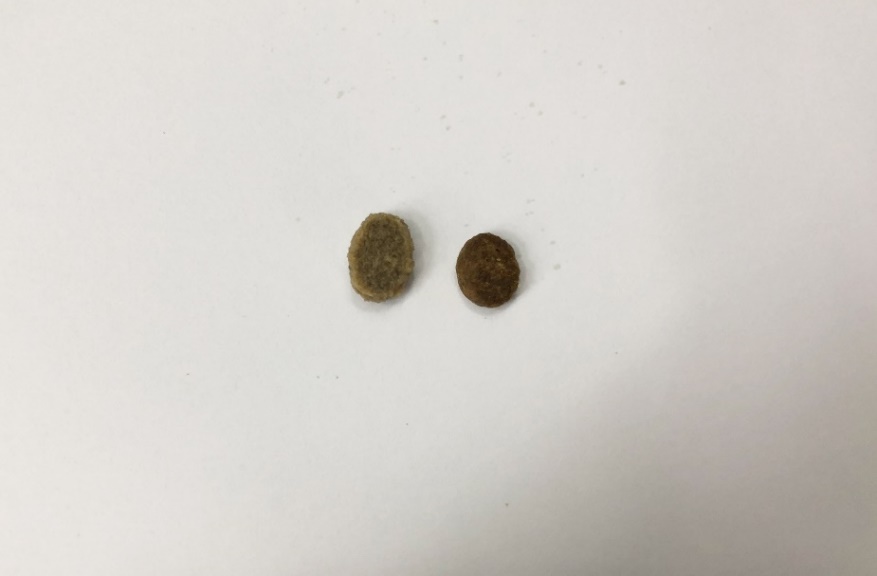 纽顿t27鸡肉狗粮为什么一直缺货,纽顿狗粮感受